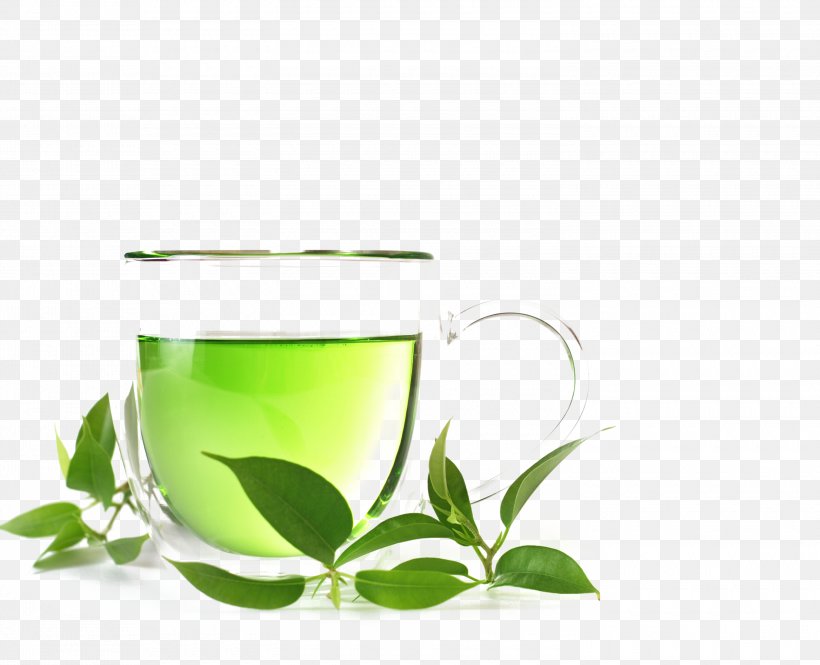 Green Tea Organic Food White Tea Oolong, PNG, 3000x2436px, Tea, Assam Tea, Coffee Cup, Cup, Drink Download Free