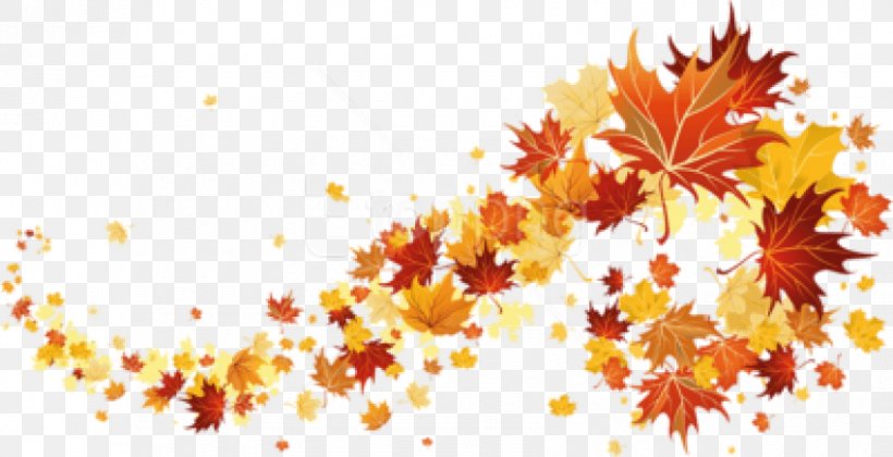 Autumn Clip Art Image Desktop Wallpaper, PNG, 850x436px, Autumn, Art, Autumn Leaf Color, Black Maple, Branch Download Free