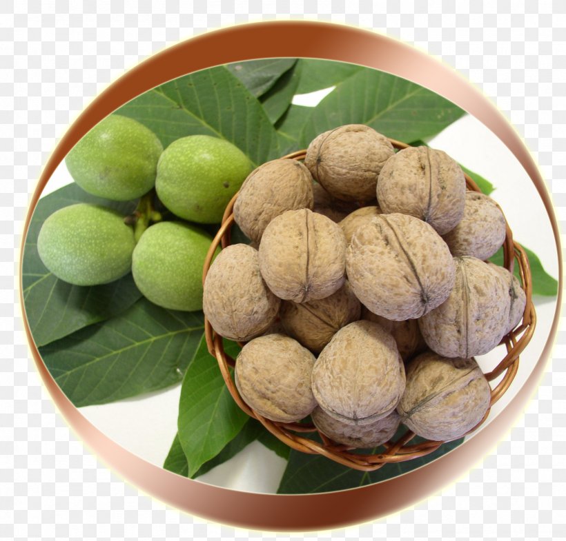 Walnut Macadamia Longan Superfood, PNG, 1587x1521px, Walnut, Food, Fruit, Ingredient, Longan Download Free