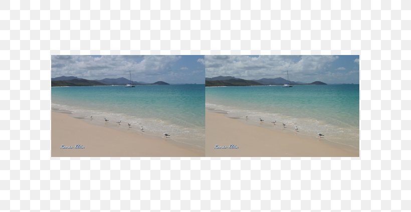 Caribbean Beach Coast Ocean Inlet, PNG, 615x424px, Caribbean, Bay, Beach, Coast, Coastal And Oceanic Landforms Download Free