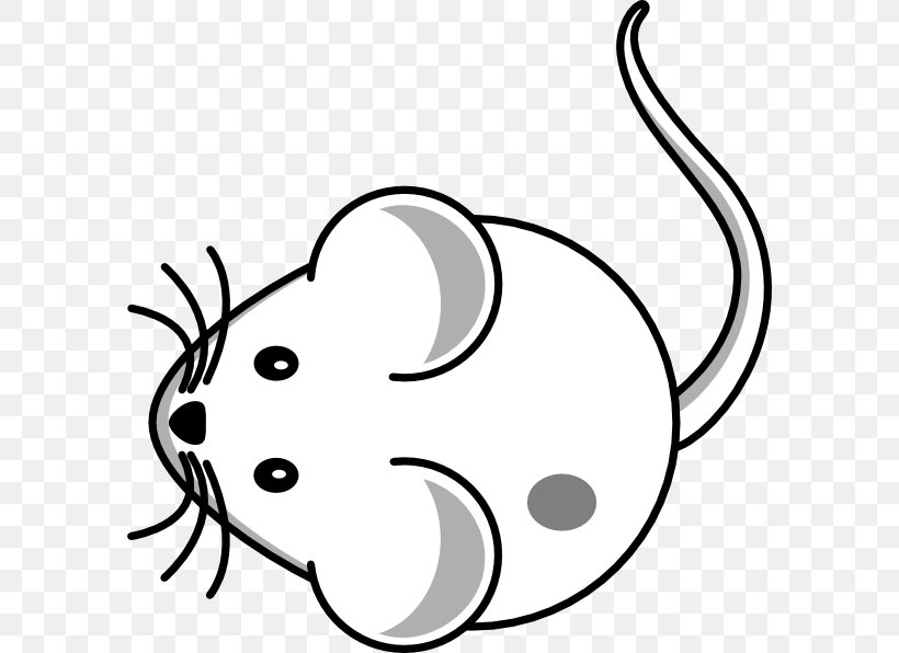 Computer Mouse Whiskers Drawing Clip Art, PNG, 588x596px, Computer Mouse, Animated Film, Artwork, Black, Black And White Download Free