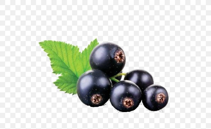 Juice Blackcurrant Fruit Stock Photography, PNG, 553x503px, Juice, Berry, Bilberry, Blackcurrant, Blueberry Download Free