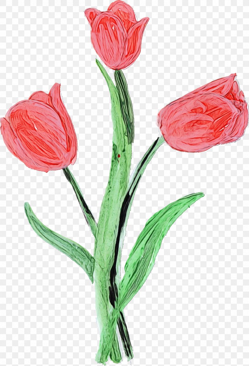 Lily Flower Cartoon, PNG, 1305x1918px, Tulip, Artificial Flower, Bud, Cut Flowers, Floristry Download Free