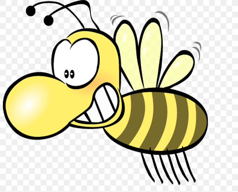 Bumblebee Insect Honey Bee Clip Art, PNG, 800x662px, Bee, Area, Artwork, Beak, Bee Sting Download Free