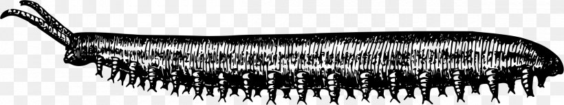 Invertebrate Worm Animal Clip Art, PNG, 2400x451px, Invertebrate, Animal, Auto Part, Black And White, Caterpillar Download Free