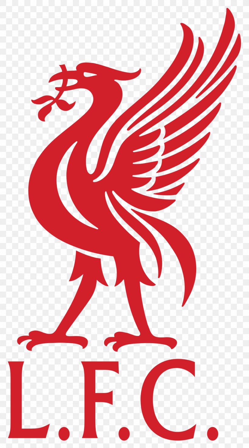 Liverpool F.C. Anfield Liver Bird Logo FA Cup, PNG, 1000x1799px, Liverpool Fc, Anfield, Area, Artwork, Beak Download Free