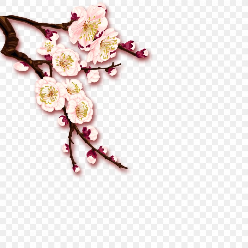 Plum Blossom Clip Art, PNG, 2000x2000px, Plum Blossom, Blossom, Body Jewelry, Cherry Blossom, Cut Flowers Download Free