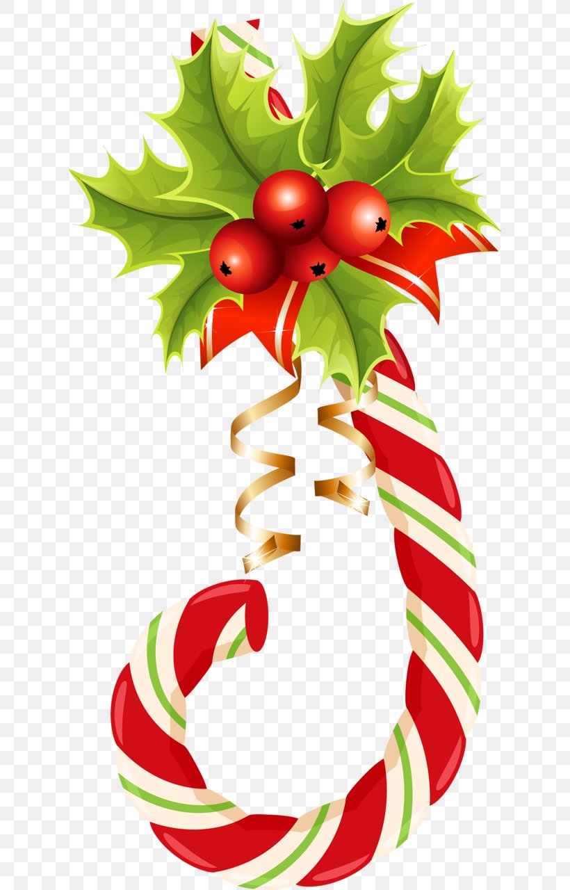 Christmas Decoration Clip Art, PNG, 622x1280px, Christmas, Advent Wreath, Aquifoliaceae, Art, Branch Download Free