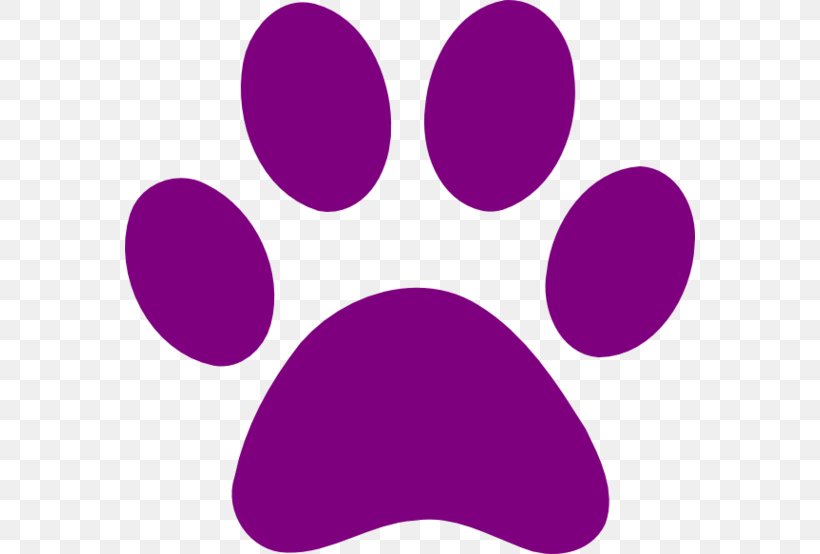 Dog Cougar Cat Paw Tiger, PNG, 570x554px, Dog, Bear, Cat, Claw, Cougar Download Free