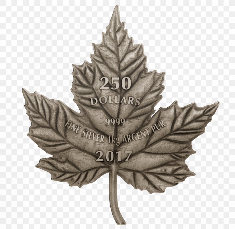 Flag Of Canada The Maple Leaf Forever Canadian Silver Maple Leaf, PNG, 1198x1166px, Canada, Canadian Gold Maple Leaf, Canadian Maple Leaf, Canadian Silver Maple Leaf, Coin Download Free