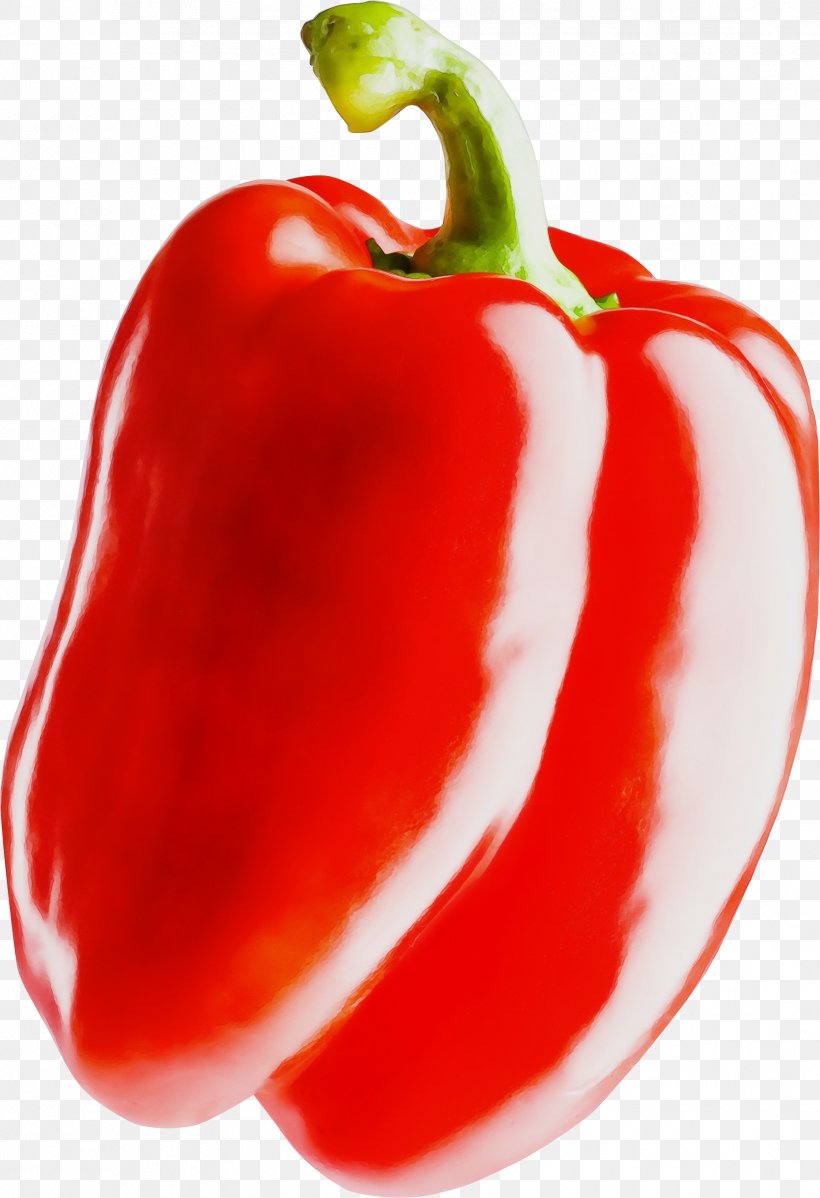 Natural Foods Pimiento Bell Pepper Red Bell Pepper Bell Peppers And Chili Peppers, PNG, 1859x2716px, Watercolor, Bell Pepper, Bell Peppers And Chili Peppers, Capsicum, Food Download Free