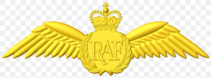 Clip Art Aircraft Pilot Royal Air Force Desktop Wallpaper, PNG, 972x361px, Aircraft Pilot, Badge, Beak, Emblem, Gold Download Free