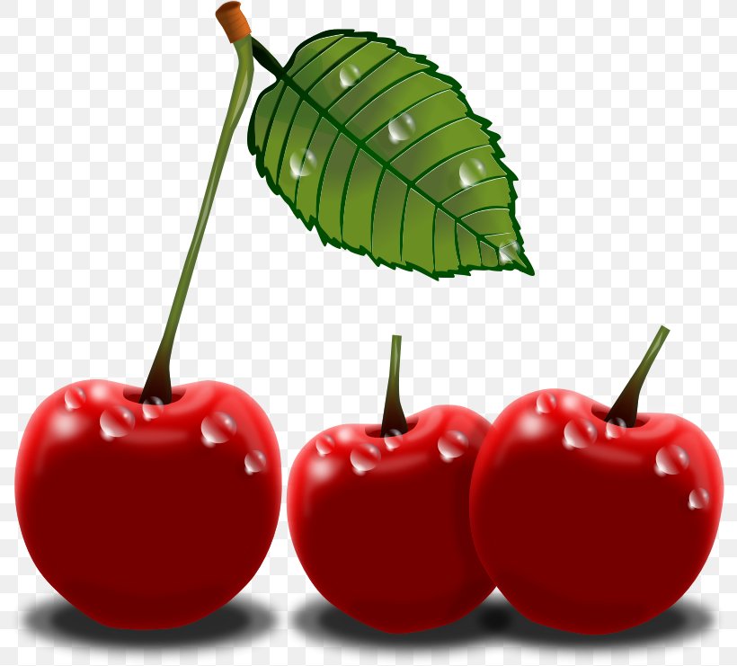 Cherry Free Content Clip Art, PNG, 795x741px, Cherry, Acerola, Acerola Family, Apple, Black Cherry Download Free