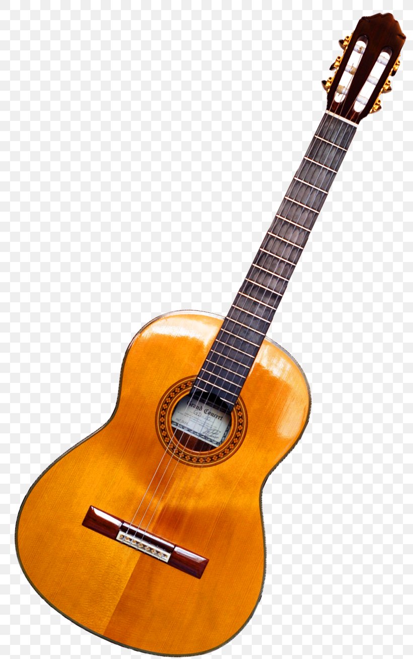 Twelve-string Guitar Gibson ES-335 Ukulele Acoustic Guitar, PNG, 799x1308px, Watercolor, Cartoon, Flower, Frame, Heart Download Free