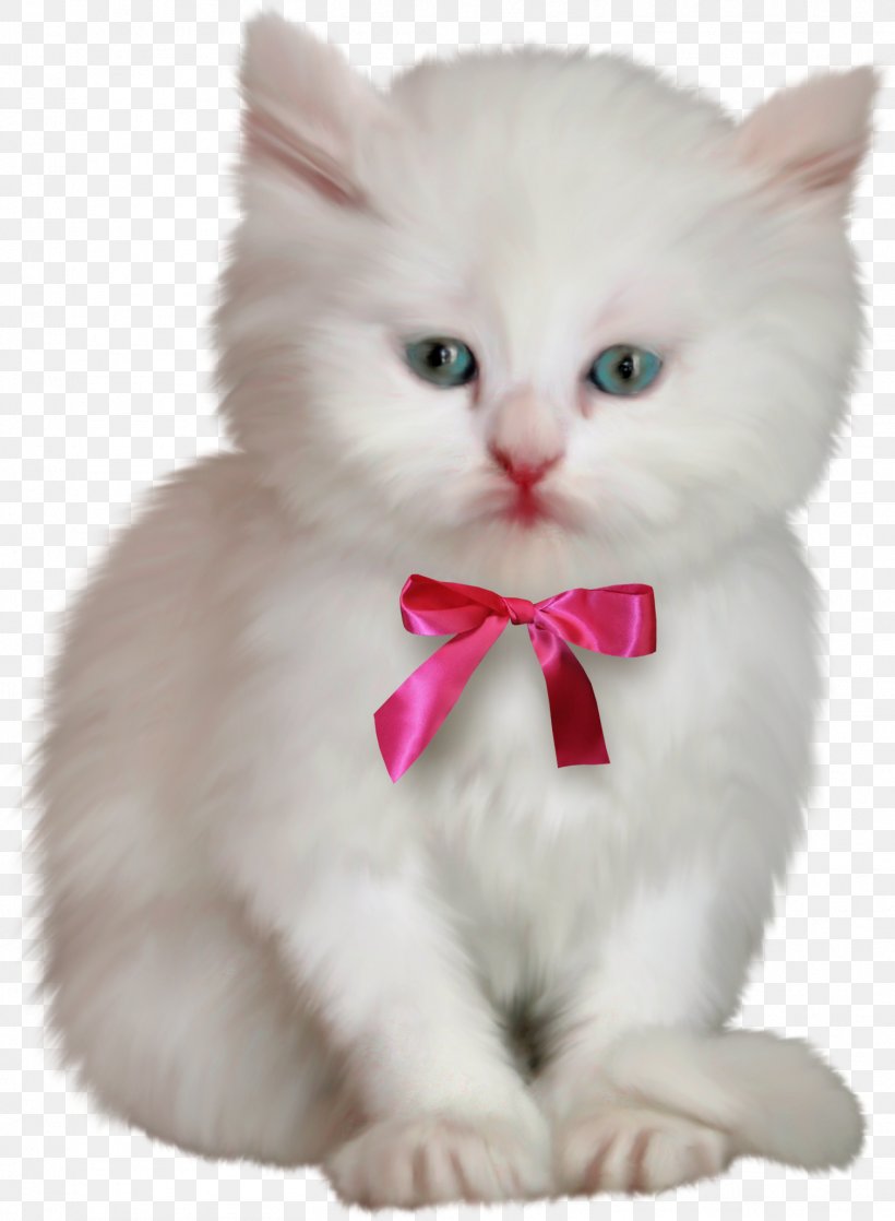 Cat Kitten Hello Kitty, PNG, 1507x2056px, Cat, Animation, Asian Semi Longhair, British Semi Longhair, Carnivoran Download Free