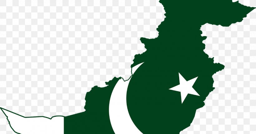 Pakistan National Cricket Team World Cricketer, PNG, 1200x630px, Pakistan, Black And White, Cricket, Cricketer, Flag Of Pakistan Download Free