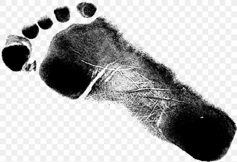 Shoe Footprint Grunge Paw, PNG, 1024x702px, Shoe, Animal, Banner, Black And White, Brush Download Free