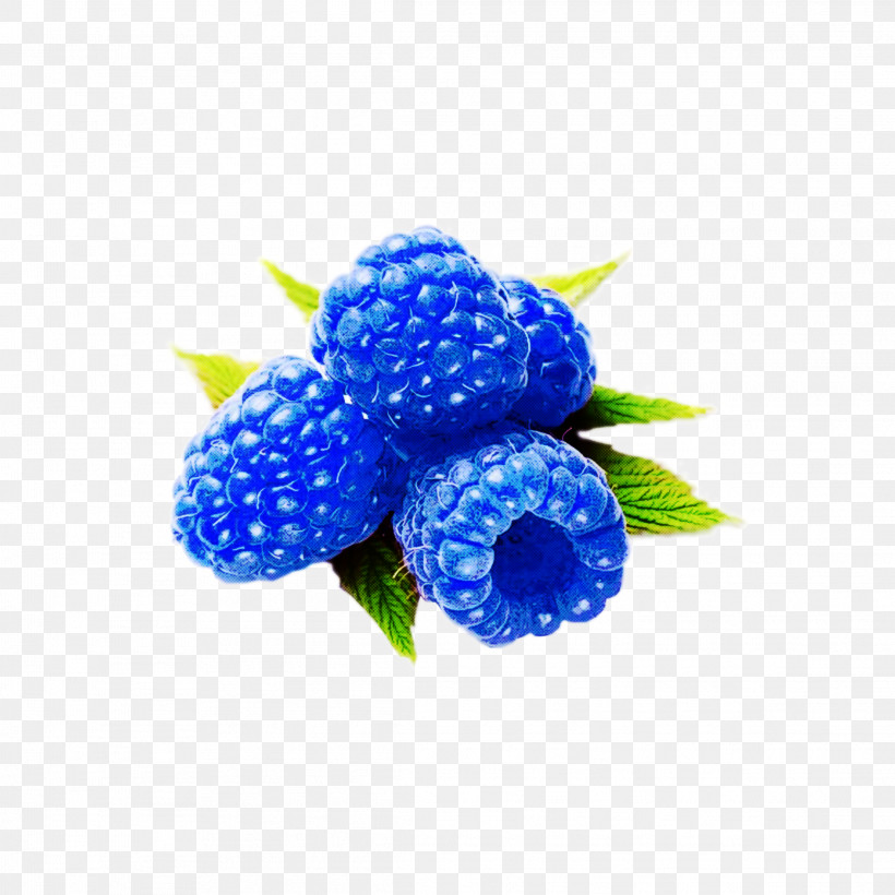 Blue Berry Cobalt Blue Plant Fruit, PNG, 2289x2289px, Blue, Anemone, Berry, Blackberry, Blueberry Download Free