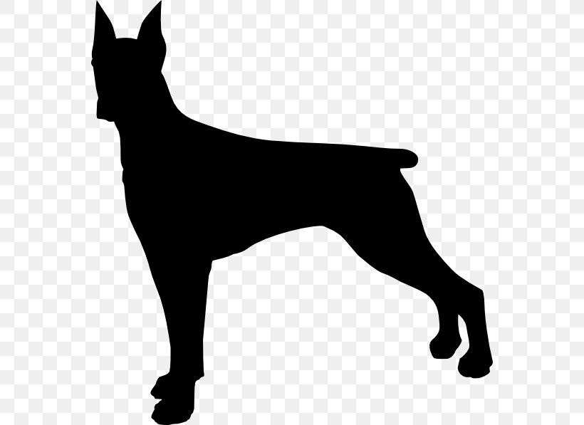 Dobermann German Shepherd Rottweiler German Pinscher Miniature Pinscher, PNG, 564x597px, Dobermann, Black, Black And White, Carnivoran, Dog Download Free