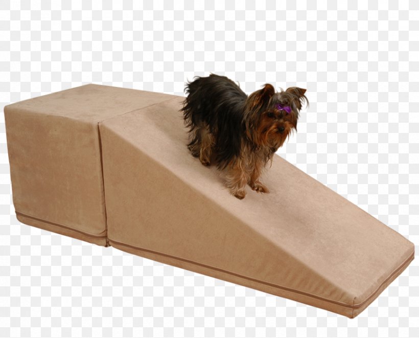 Dog Breed Cat Pet Human–canine Bond, PNG, 868x700px, Dog Breed, Bed, Box, Breed, Carnivoran Download Free