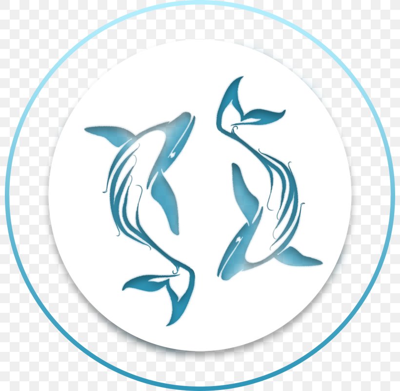 Dolphin Hamakua Day Spa Massage, PNG, 800x800px, Dolphin, Cetacea, Day Spa, Facial, Fish Download Free