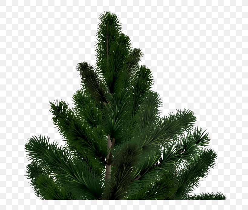 Fir Christmas Tree, PNG, 760x696px, Fir, Biome, Branch, Christmas Decoration, Christmas Ornament Download Free