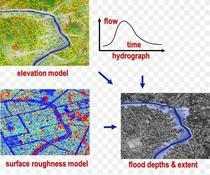 Line Point Organism Map Water Resources, PNG, 1062x885px, Point, Area, Flood, Map, Organism Download Free