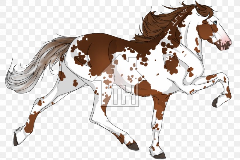 Mane Mustang Foal Stallion Colt, PNG, 900x600px, Mane, Bridle, Colt, Foal, Halter Download Free