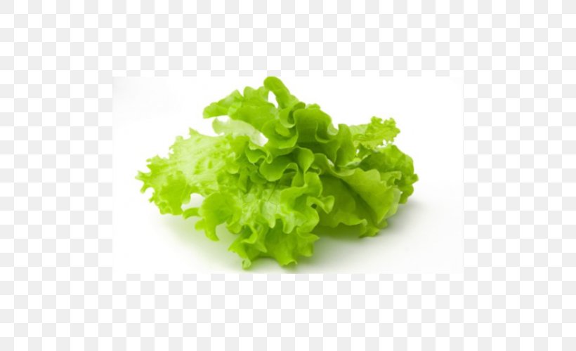 Salad Iceberg Lettuce Vegetable Herb Fruit, PNG, 500x500px, Salad, Condiment, Cucumber, Endive, Food Download Free