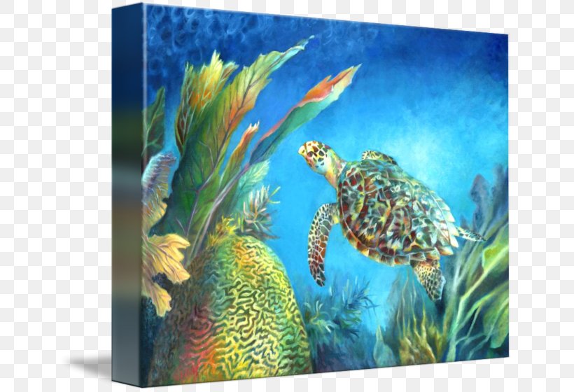 Sea Turtle Coral Reef Fish Marine Biology Ecosystem, PNG, 650x560px, Sea Turtle, Aquarium, Aquariums, Coral, Coral Reef Download Free