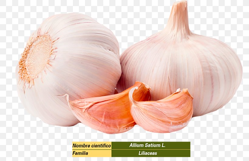 Garlic Organic Food Health Infection, PNG, 800x533px, Garlic, Allicin, Bacteria, Bacterial Disease, Clove Download Free