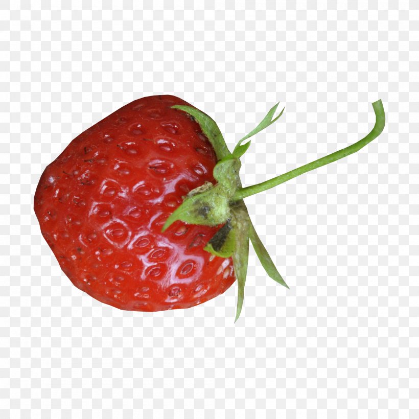 Strawberry Accessory Fruit Berries Natural Foods, PNG, 2000x2000px, Strawberry, Accessory Fruit, Berries, Berry, Food Download Free