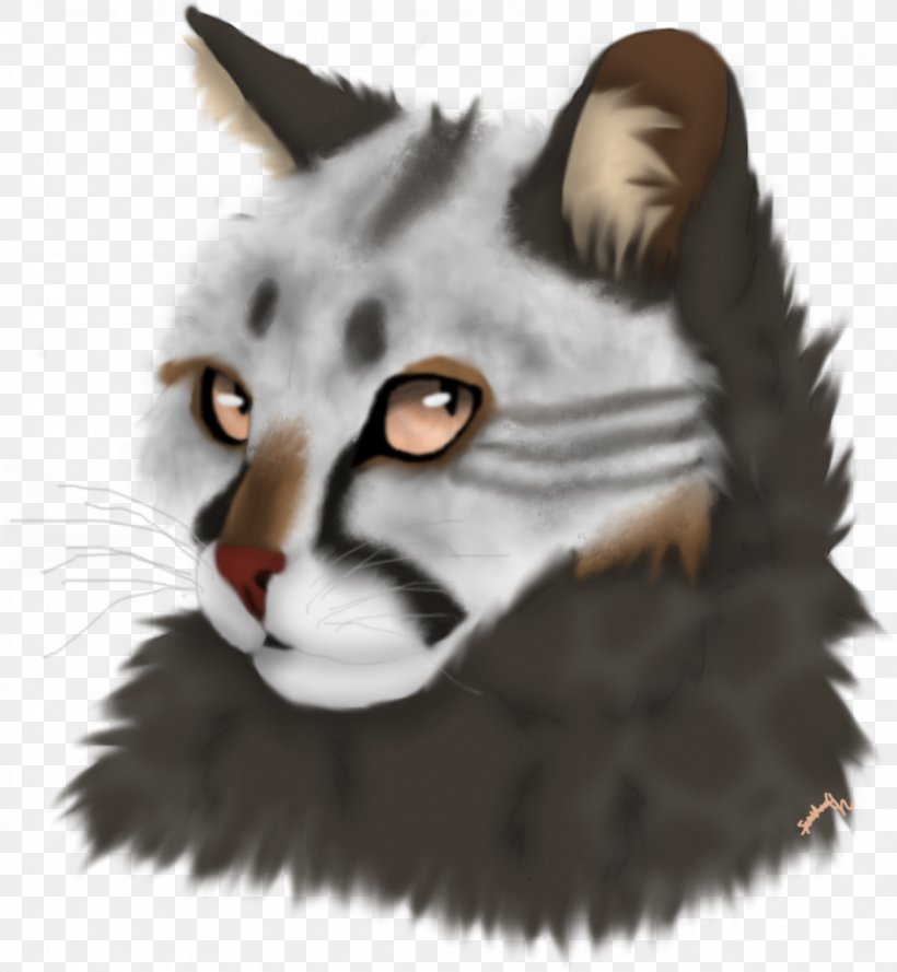 Whiskers Cat Tiger Snout Fur, PNG, 858x931px, Whiskers, Big Cat, Big Cats, Carnivoran, Cat Download Free