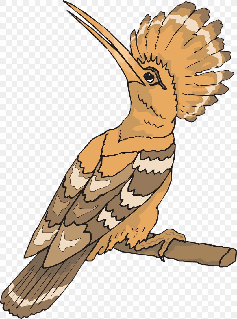 Bird Eurasian Hoopoe Clip Art, PNG, 950x1280px, Bird, African Hoopoe, Art, Beak, Bird Of Prey Download Free