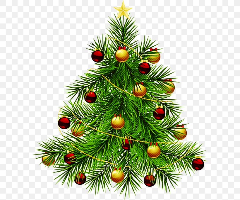 Christmas Tree, PNG, 600x682px, Christmas Tree, Balsam Fir, Branch, Christmas Decoration, Christmas Ornament Download Free