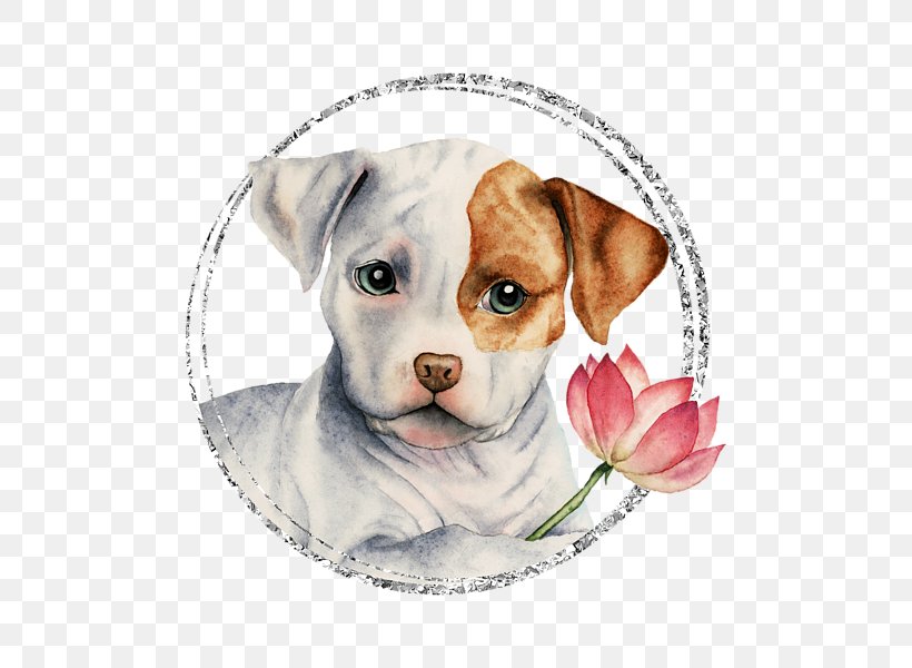 Dog Breed American Pit Bull Terrier Staffordshire Bull Terrier T-shirt, PNG, 600x600px, Dog Breed, American Bulldog, American Pit Bull Terrier, Bulldog, Carnivoran Download Free