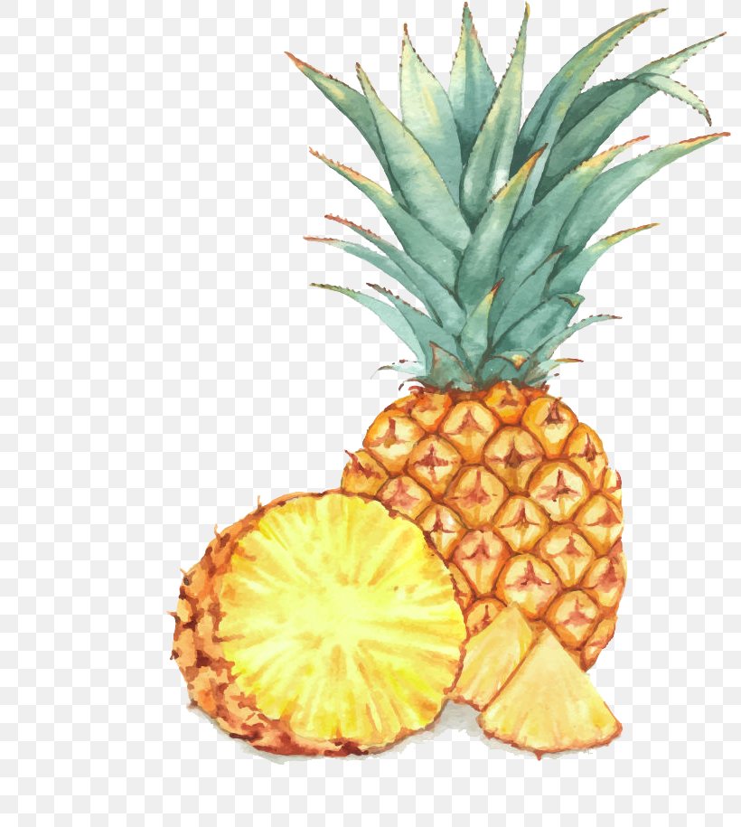 Fruit Watercolor Painting Drawing Illustration, PNG, 800x915px, Watercolor Painting, Ananas, Bromeliaceae, Drawing, Food Download Free