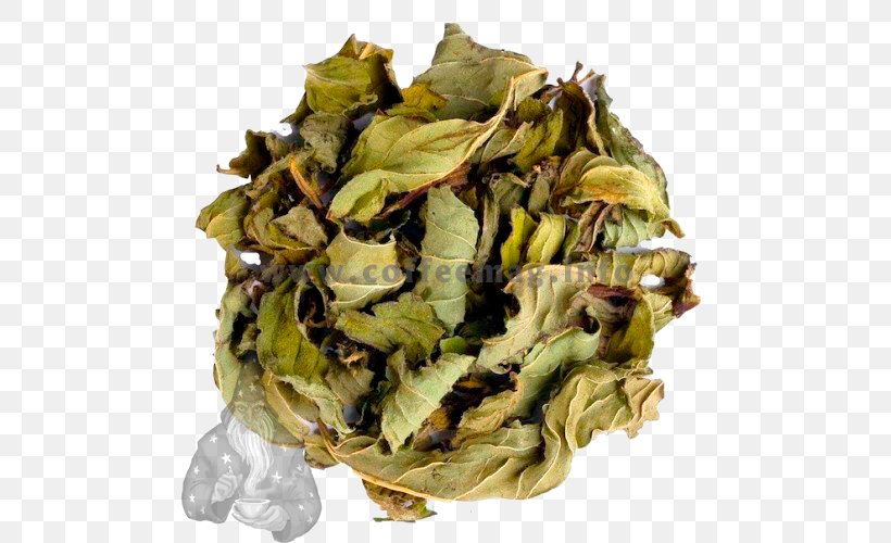 Green Tea Tieguanyin Herbal Tea Peppermint, PNG, 500x500px, Tea, Bai Mudan, Black Tea, Cocktail, Drink Download Free