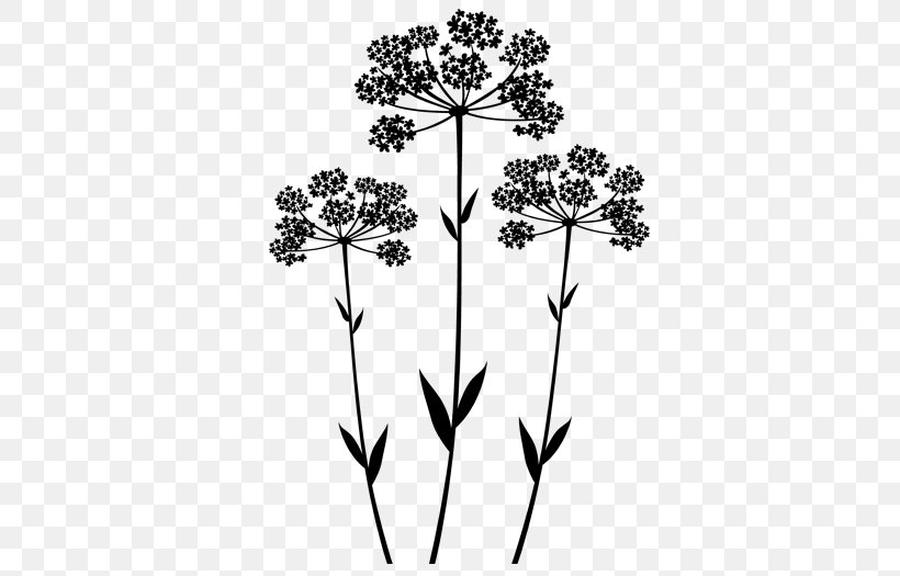 Wall Decal Anise Flower Color Plant Stem, PNG, 700x525px, Wall Decal, Anise, Black And White, Branch, Christmas Cookie Download Free