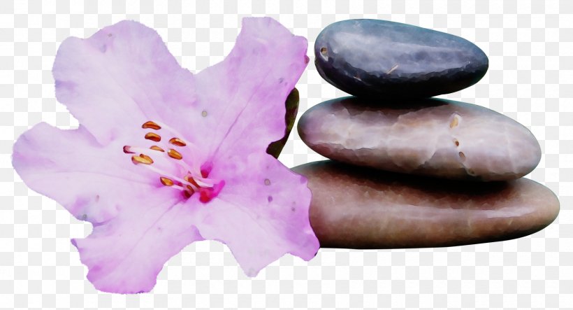 Purple Watercolor Flower, PNG, 1700x919px, Watercolor, Doctor Of Medicine, Electroacupuncture, Flower, Health Download Free
