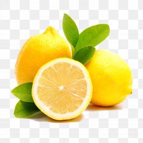 Lemon - Eau De Toilette Perfume The Different Company Note Eau De Cologne PNG