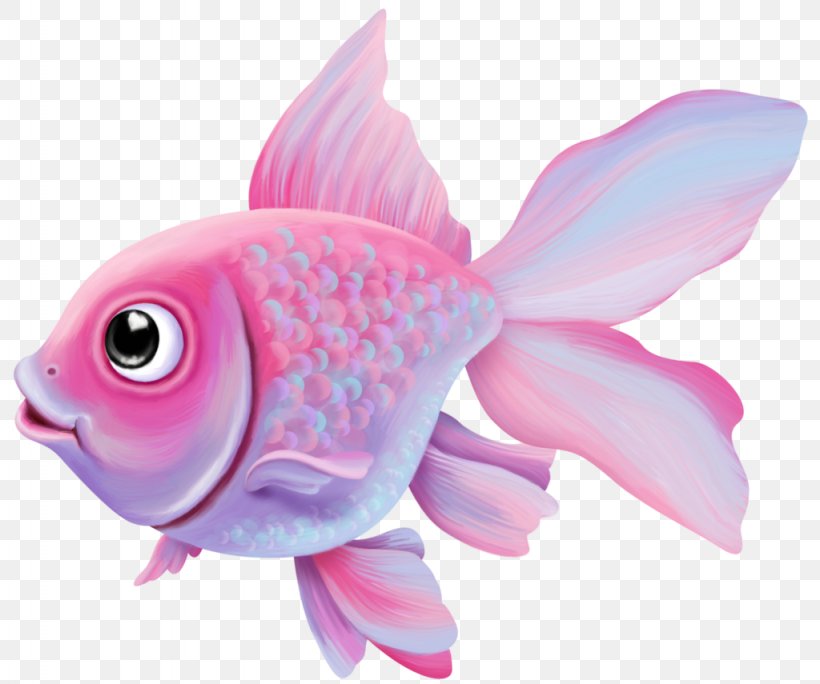Goldfish Pink M Marine Biology, PNG, 1024x855px, Goldfish, Biology, Bony Fish, Fin, Fish Download Free