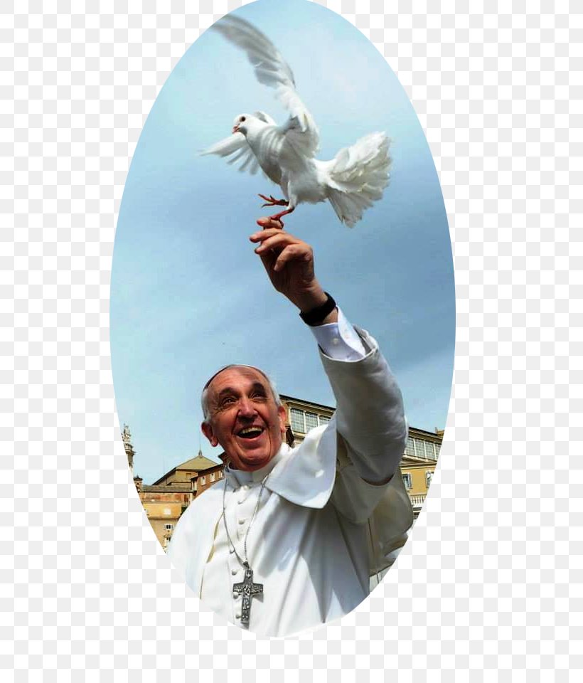 Pope Francis Vatican City Institute For The Works Of Religion Catholic Church, PNG, 618x960px, Pope Francis, Argentines, Bird Of Prey, Catholic Church, Christian Church Download Free