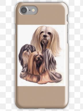 Lhasa Apso - Yorkshire Terrier IPhone 6 Tibetan Terrier IPhone 7 Havanese Dog PNG