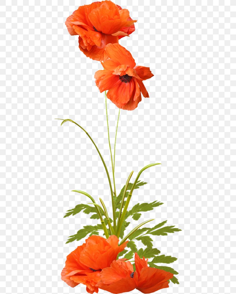 Animaatio Morning Daytime Clip Art, PNG, 446x1024px, Animaatio, Computer Animation, Coquelicot, Cut Flowers, Daytime Download Free