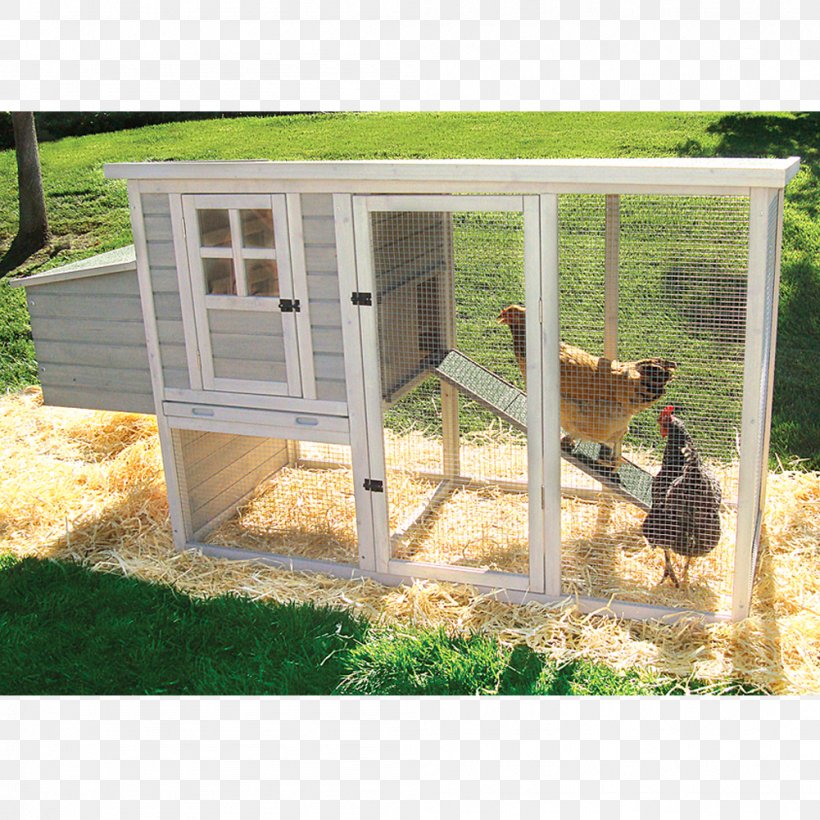 Chicken Coop Chicken Tractor Chickens As Pets Building, PNG, 1001x1001px, Chicken, Agriculture, Backyard, Building, Chicken Coop Download Free