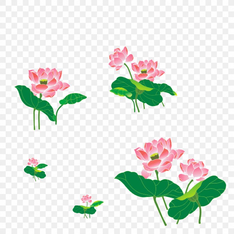 Floral Design Nelumbo Nucifera Cut Flowers Clip Art, PNG, 1024x1024px, Floral Design, Annual Plant, Cut Flowers, Flora, Floristry Download Free