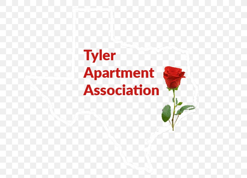 Garden Roses Apartment Tyler House, PNG, 720x591px, Garden Roses, Apartment, Brand, Career, Computer Download Free