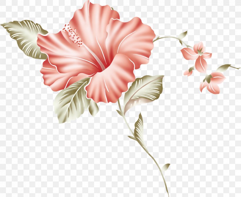 Mallows Flowering Plant Hibiscus Cut Flowers, PNG, 1200x986px, Mallows, Cut Flowers, Flora, Floral Design, Flower Download Free