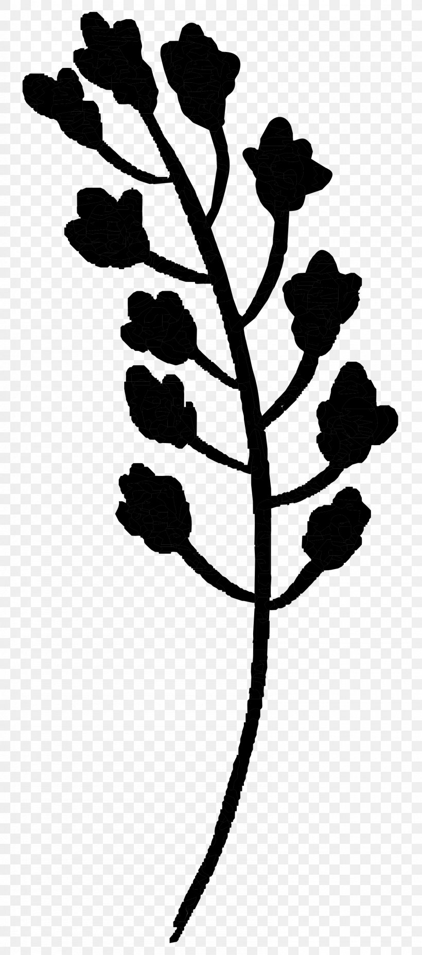 Twig Plant Stem Flower Leaf Line, PNG, 1590x3600px, Twig, Botany, Branch, Flower, Flowering Plant Download Free